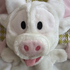 Anastasia Bartok The Magnificent Albino Bat 1997 Plush Hand Puppet Applause