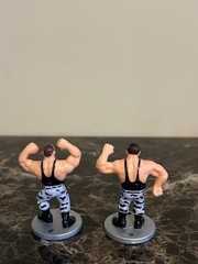 WWF Hasbro 1991 Royal Rumble Mini Figures Full Set of 12
