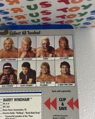 WCW Galoob MOC Barry Windham NM++ Titan Vintage WWF WWE LJN Hasbro