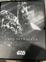 Hot Toys 1/6 STAR WARS LUKE SKYWALKER Exclusive DX23 *Read Description*