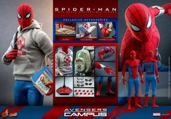 Spider-Man Hot Toys Disney D23 Expo Exclusive Figure Avengers Campus In Hand!