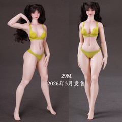 LDDOLL 1/6 Girl Soft Silicone Action Figure Seamless Body Normal chunli 29M
