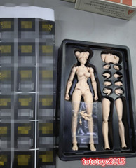 US Romankey 1/12 Flexible Joint Pale Girl Figure Body &Head Female Doll