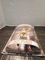 Royal Rumble Ric Flair Wwe Hall Of Famer Action Figure 2008 Jakks Ultra Rare