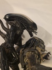 Predator Alien Action Figures McFarlane Arnold Schwarzenegger Movie