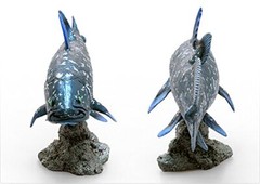 Coelacanth Soft Model (FF-001) 18.5×5.6×10.5cm toy figure fish Favorite Japanese