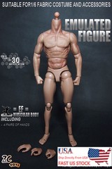 ZC Toys 1/6th Muscular Flexibl Male Figure Body Fit 12″ Hot Toys Head Sculpt Toy