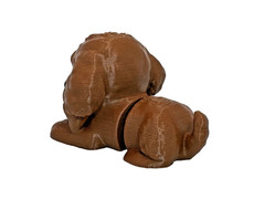 Flexi Golden Brown Doodle, Animal, Dog – Fidget Toy – Cute Gift Idea