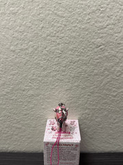 Tokidoki Shimmer Cherry Blossom Unicorno Frenzies Figure Phone Charm – Ichiyo