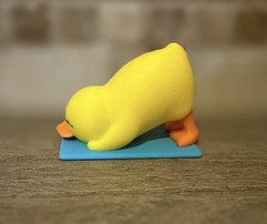 Yoga Duck – Downward Duck – Ducking – Cruises – Collectibles