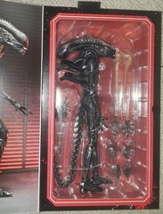 NECA Alien Romulus Ultimate Xenomorph XX121 new sealed usa