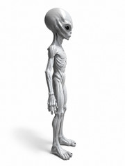 Alien Figurine 22cm Grey UFO Area 51 Collectible Gift Statue