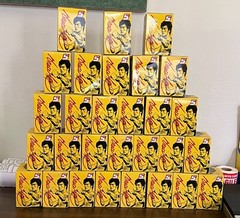 29 BLIND PACK Bruce Lee’s Temple of Kung Fu Series 1 Action Figures NEW UNOPENED