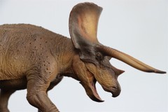 PNSO 1/35 New Version Triceratops Model Adult Children Toys Gift Dinosaur Figure