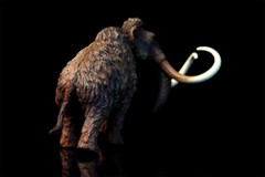 TNG Mammonteus Primigenius Model Elephant Animal Figure Toys Decor Xmas Gift
