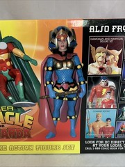 DC Direct MISTER MIRACLE & BIG BARDA Deluxe Action Figure Set NIP 2000