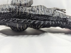 Jurassic World Tarbosaurus Primal Attack Massive Biters Dinosaur Mattel 14″ FS