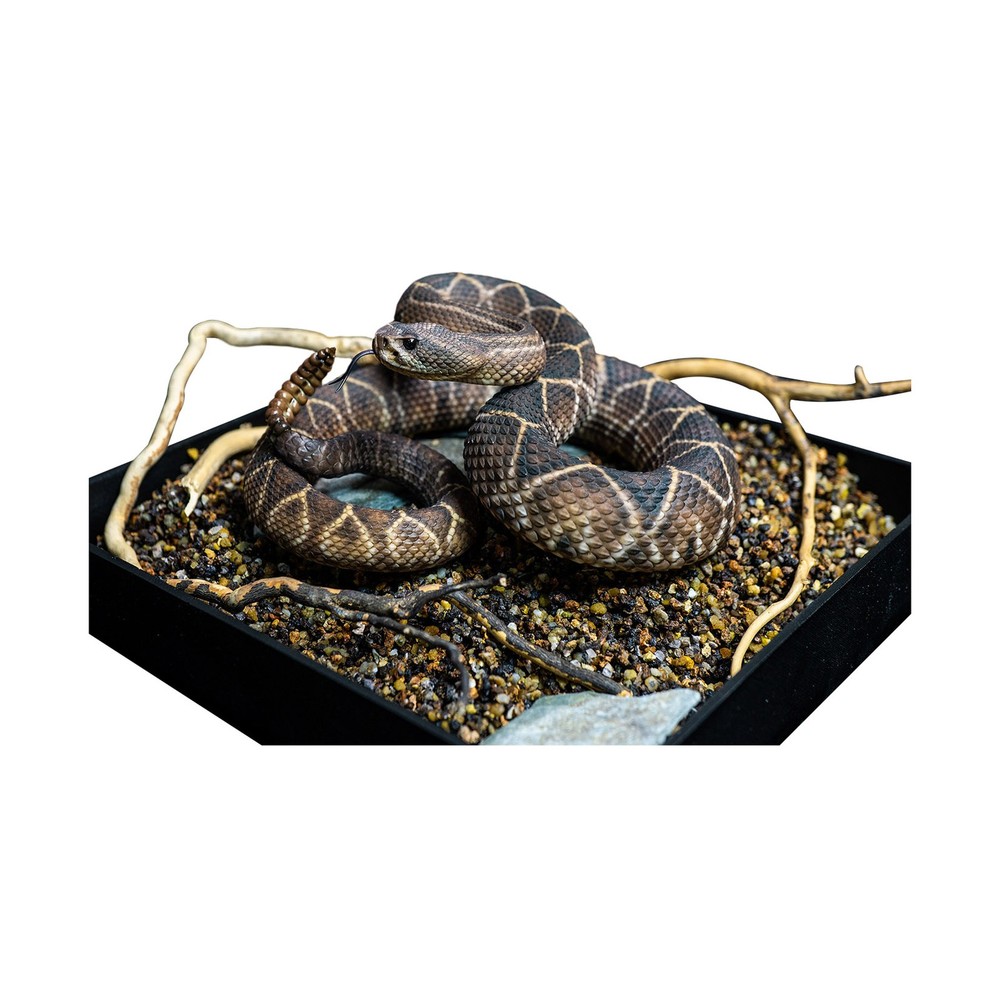 Snake Gorge Crotalus Durissus Figure Animal Model Decor Adult Xmas Gift Toys