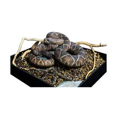 Snake Gorge Crotalus Durissus Figure Animal Model Decor Adult Xmas Gift Toys