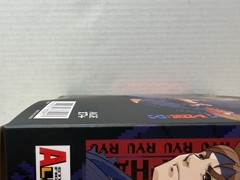 Storm Arena (Storm Collectibles) Street Fighter Alpha 3 Black Version Ryu (BBTS)