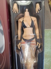 Phicen 1/6 scale 12″ flexible doll large breast tan with outfit