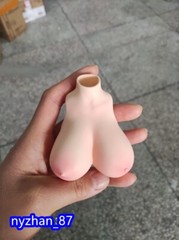 1:6 Normal Skin Big Breast Bust Cover Model F 12” Female TBL Action Figure Body