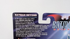 Batman Beyond Sonar Strike Batman (See Photos)