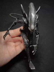 Hot Alien Xenomorph With Facehugger 6″ Action Figure Halloween Toy WITH BOX SET