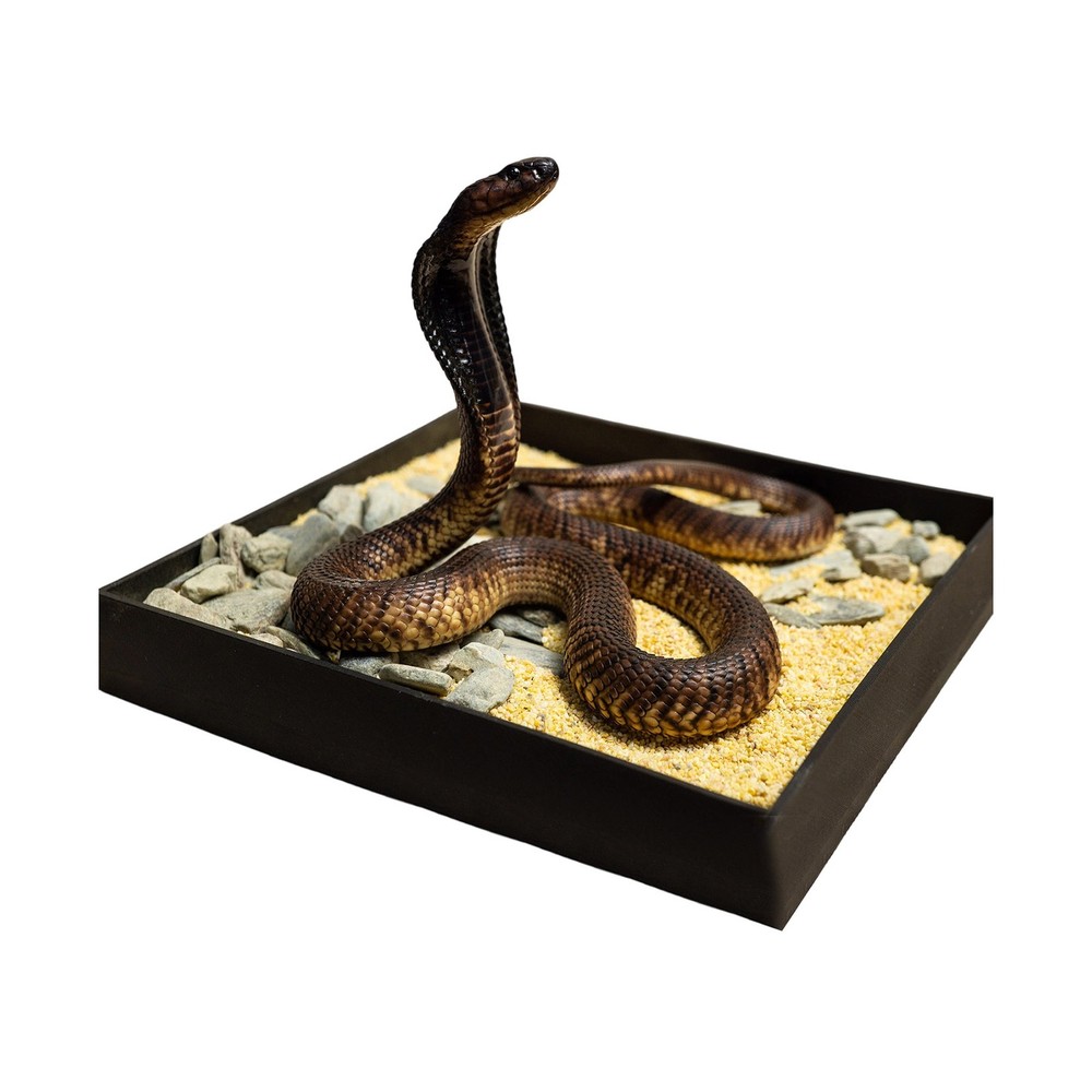 Snake Gorge Egyptian Cobra Figure Naja Haje Animal Model Adult Xmas Gift Toys