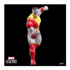 Hasbro Marvel Legends Series X-Men Kitty Pryde and Marvels Colossus (2-Pack)