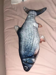 3D Simulation Goldfish Plush Toy 60cm Fancy Carp Stuffed Animal Sofa Pillow