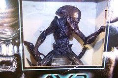 ALIEN VS PREDATOR: BLACK ALIEN XENOMORPH WARRIOR 9 inch DELUXE ACTION FIGURE NEW