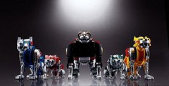 Soul of Chogokin GX-71 Beast King GoLion 270mm ABS Die-cast PC PVC Action Figure
