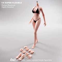 ANT 1:6 Flexible Medium Breast 12 inch Female Seamless Action Figure Body Dolls
