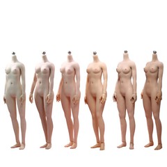 19B 1/6 Scale Seamless Small Bust Female Figure Body 12″ For Phicen Hot ToyZj