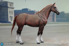 DID 1/6 Scale Brown WWII German War Horse (Standing) for 12″ Figures E60084