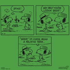 Snoopy & Spike Peanuts Super7 Reaction Action Figure (2 pack)