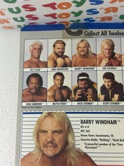 WCW Galoob MOC Barry Windham NM++ Titan Vintage WWF WWE LJN Hasbro