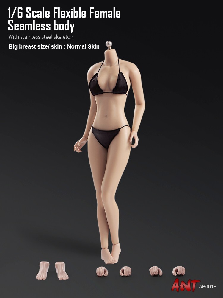 ANT 1/6 Super Flexible Seamless Female Normal Mid Breast Action Figure Body Doll