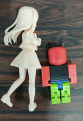 China Test Shot Figures – Roblox!