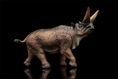 TNG Arsinoitherium Model Decor Animal Figure Adult Kids Children Toys Xmas Gift