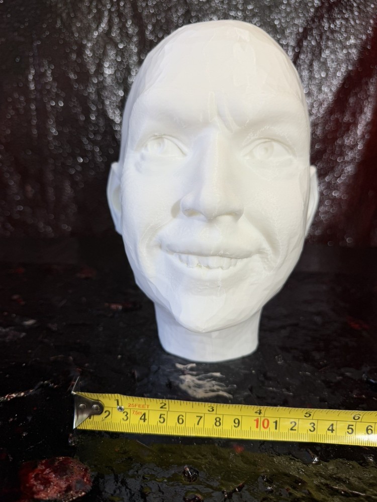 BEETLEJUICE 3D PRINT HEAD SCULPT 1:1 RATIO LIFE SIZE