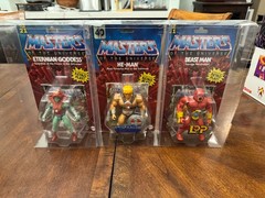 Mattel Masters of the Universe Teela Green He-Man 40th Beastman Lop w/Cases