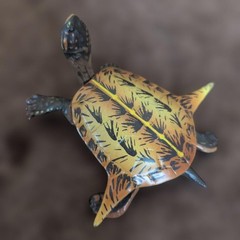 Kaiyodo Turtle Figure Set of 5 Collectible Sea Creatures, Varies in Size