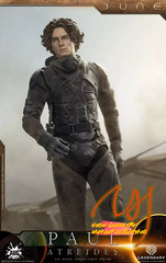 IN STOCK New AUG TOYS DL003 1/6 Paul Atreides Chalamet 12″ Action Figure