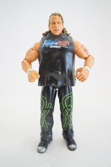 WWE Triple H & Shawn Michaels Jakks Smackdown vs RAW 2009 Wrestling Figures