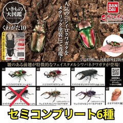 Creature Encyclopedia Kuwagata 10 Gacha Figures Total 6 Pieces Semi-Complete
