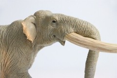 TNG Huanghe Flumen Stegodon Model Elephant Animal Figure Toys Decor Xmas Gift