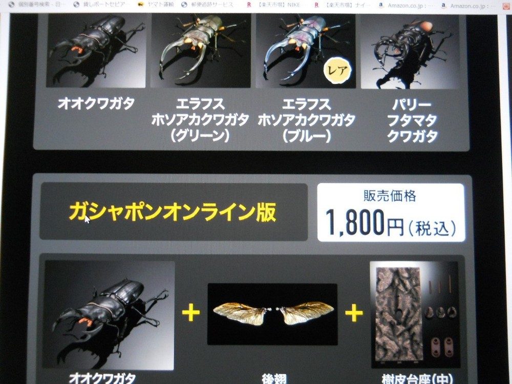 Living Creatures Encyclopedia Advance Stag Beetle 02 (All Online Version) (Elaph