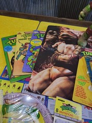 TMNT Teenage Mutant Ninja Turtles Vintage Toys 90s Hat Books Cards Party Cup Lot